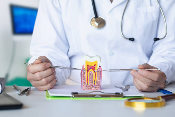 Best Emergency Root Canal Treatment in Moss Point, MS
